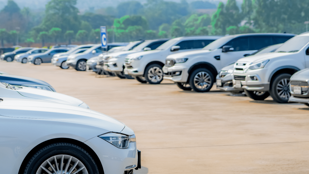 Rows of white and light-colored cars parked in a large outdoor lot with trees in the background and a blue parking sign visible